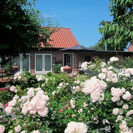 Riepsdorf "Rosenkate 1" 아파트 외부 사진