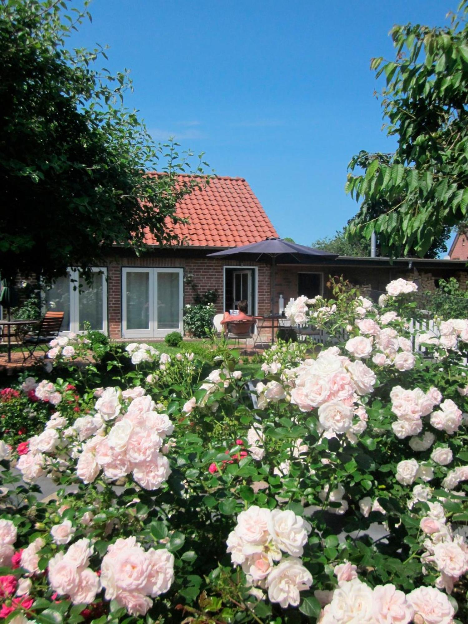 Riepsdorf "Rosenkate 1" 아파트 외부 사진